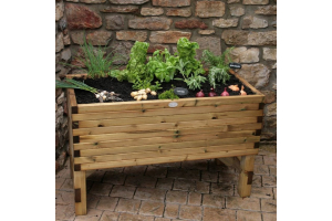 Hutton's raised vegetable planter is set at a sensible height for easier cultivation