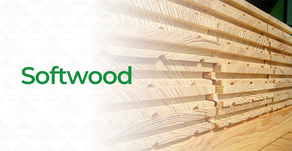 Softwood Flooring