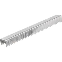 Arrow T50 Staples 10mm (1250)