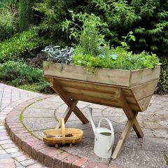 Kitchen Garden Trough (Home Delivery)