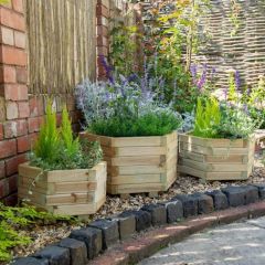 York Hexagonal Planter - Set of 3 (Home Delivery)