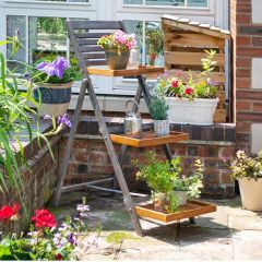 Alderley Hardwood Plant Ladder Large