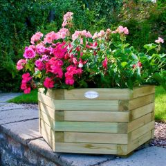 (LHP) Large Hexagonal Planter (H 305mm, W 470mm)