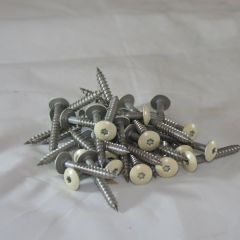 HardiePanel Screw Woodland Cream A2 Stainless Steel 38mm (250)