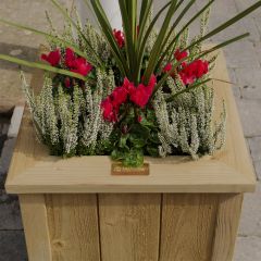 Top view of heritage square planter shows fine sawn vertical cladding and smoother mitre capping